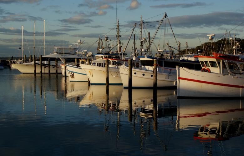 Free stock image of Boats on the Port created by Pixabay