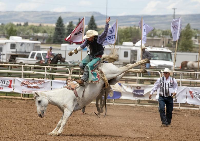Free stock image of Rodeo Austin created by Pixabay