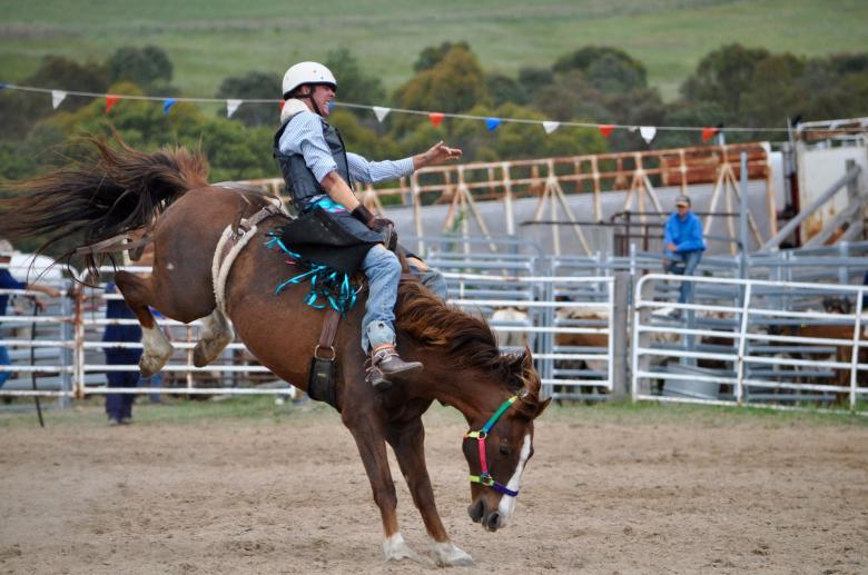 Free stock image of Rodeo Austin created by Pixabay