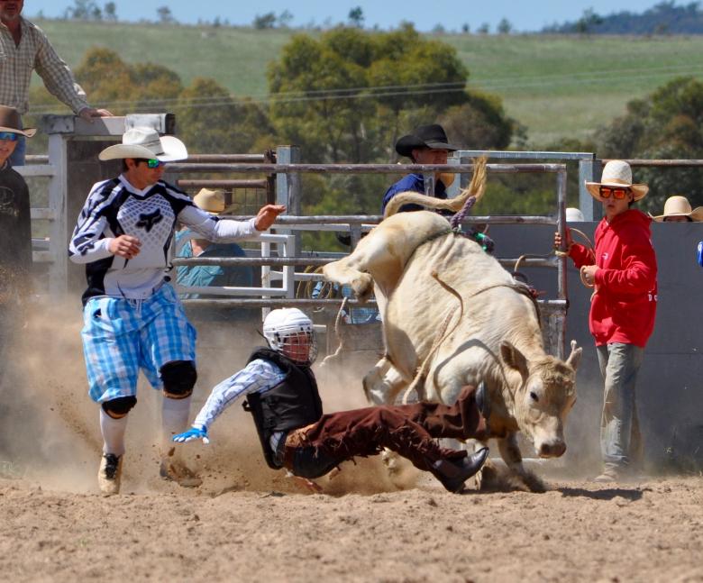 Free stock image of Rodeo Austin created by Pixabay