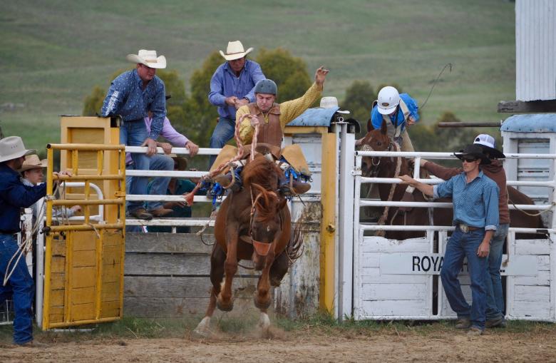 Free stock image of Rodeo Austin created by Pixabay