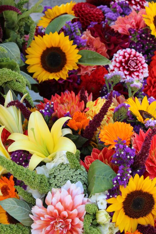 Free stock image of Fresh Flowers created by Pixabay