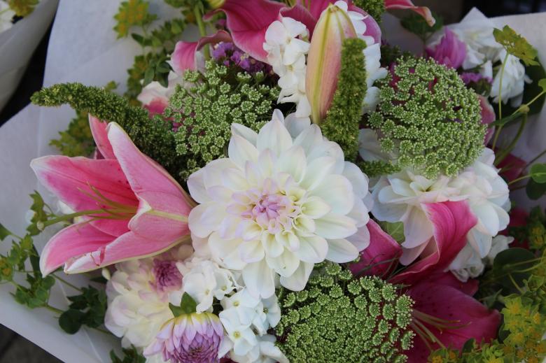 Free stock image of Fresh Flowers created by Pixabay