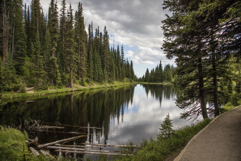 Free stock image of Lake Irene created by Pixabay