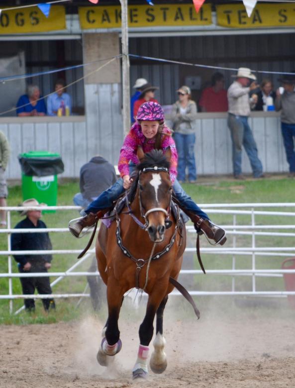 Free stock image of Horse Rider created by Pixabay