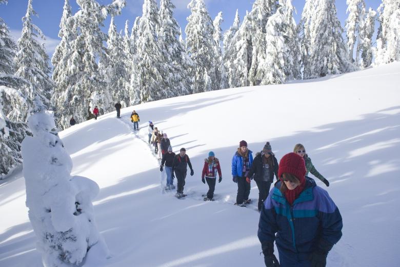 Free stock image of Snowshoe Walk created by Pixabay
