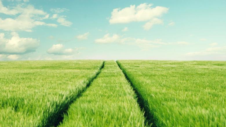 Free stock image of Green Crop created by Pixabay