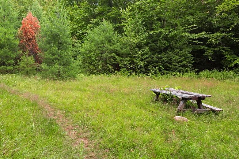 Free stock image of Off the Beaten Picnic Trail created by Nicolas Raymond