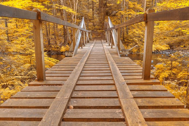 Free stock image of Golden Forest Track Bridge - HDR created by Nicolas Raymond