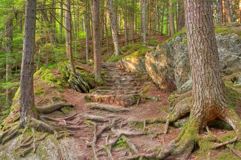 Free stock image of Green Mountain Forest Trail - HDR created by Nicolas Raymond