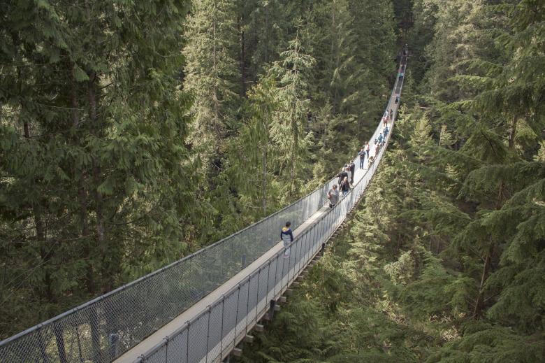 Free stock image of Capilano Suspension Bridge created by Pixabay