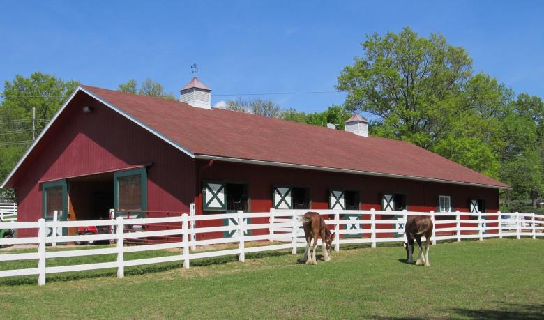 Free stock image of Clydesdales Farm created by Pixabay