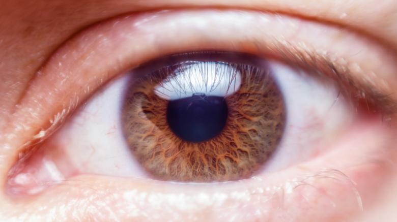 Free stock image of Human Eye created by Pixabay