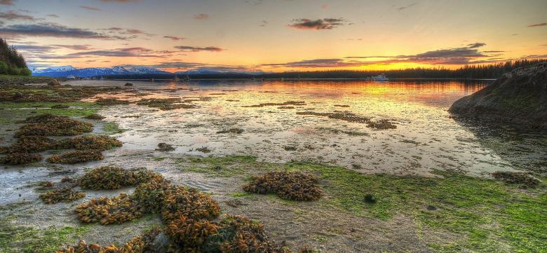 Free stock image of Low Tide created by Pixabay