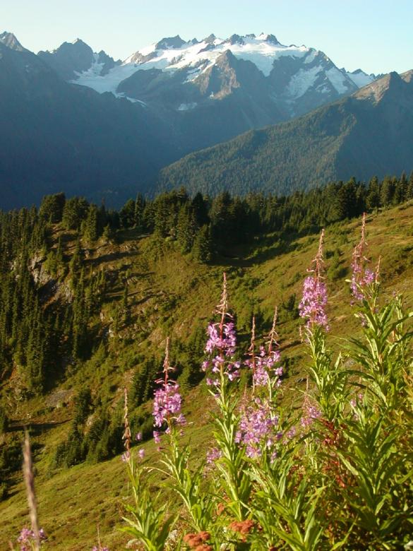 Free stock image of Mount Olympus created by Pixabay