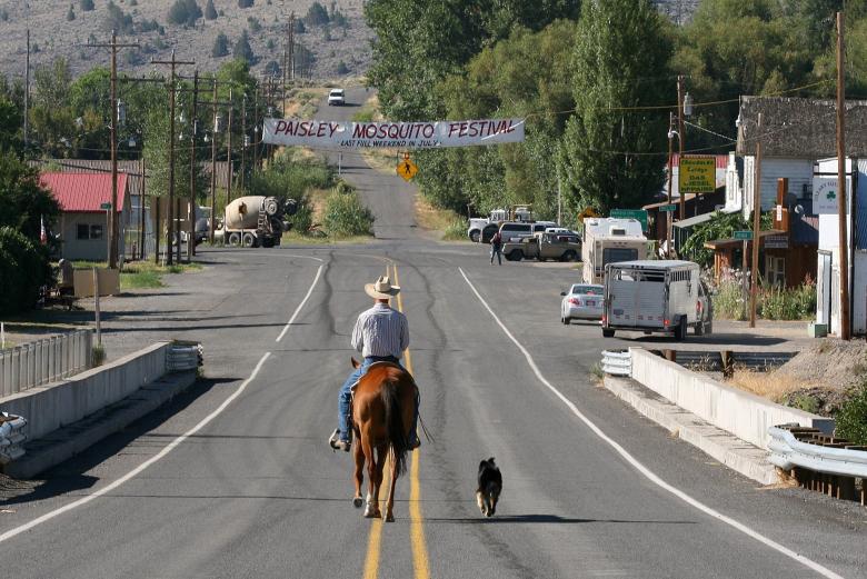 Free stock image of Cowboy on the Road created by Pixabay