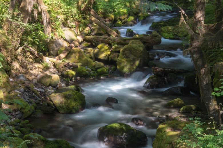 Free stock image of Creek created by Pixabay