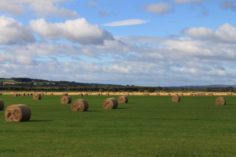 Free stock image of Hay Field created by Pixabay