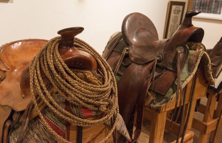 Free stock image of Leather Saddles created by Pixabay
