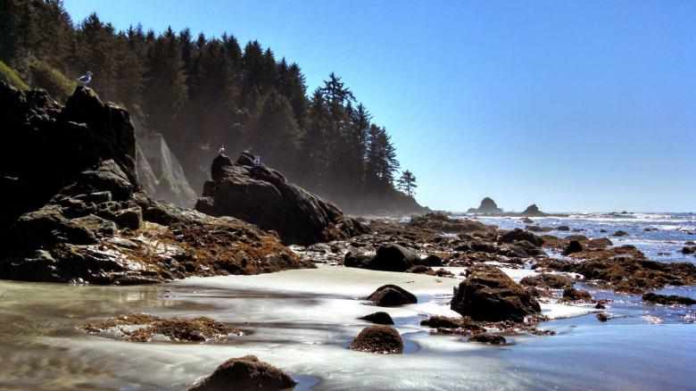 Free stock image of Wild Coast created by Pixabay