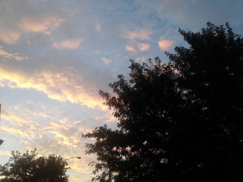 Free stock image of After the rain created by Shallbe Ebanks