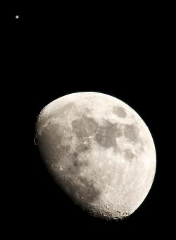 Free Stock Photo of Moon