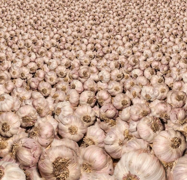 Free stock image of Raw Garlic created by Pixabay