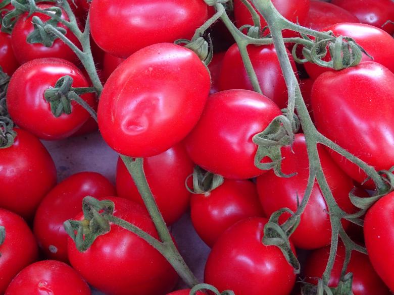 Free stock image of Fresh Tomatoes created by Pixabay