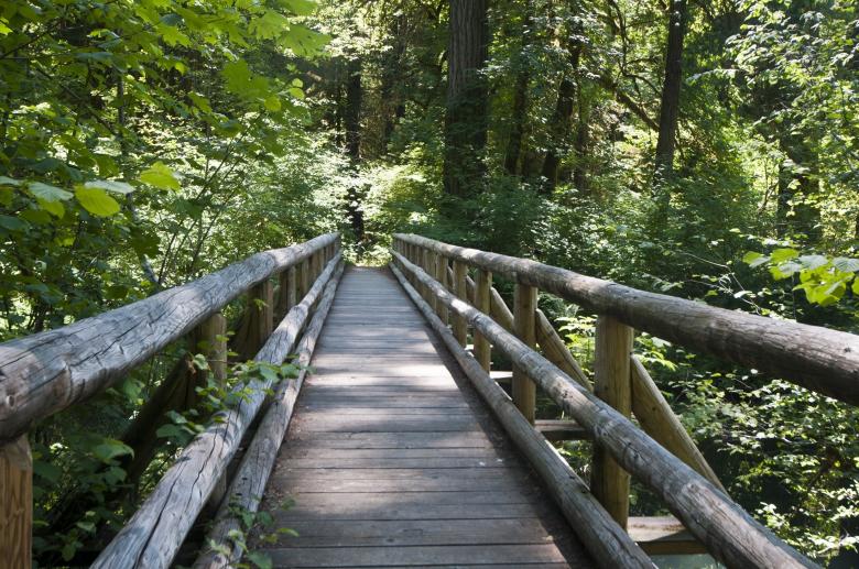Free stock image of Wooden Bridge created by Pixabay