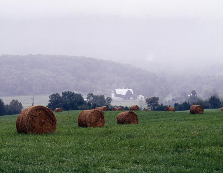 Free stock image of Misty Weather created by Pixabay