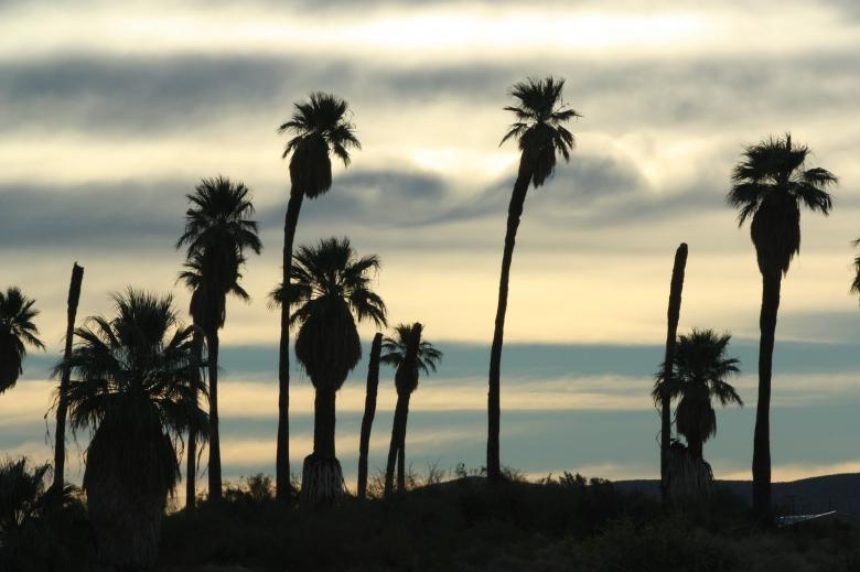 Free stock image of Sunset created by Pixabay