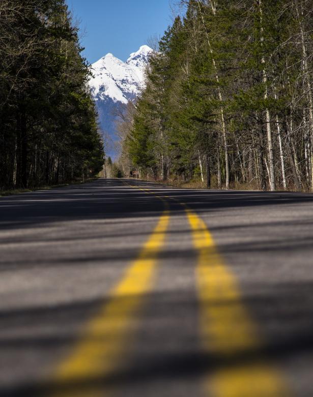 Free stock image of Road through the Woods created by Pixabay