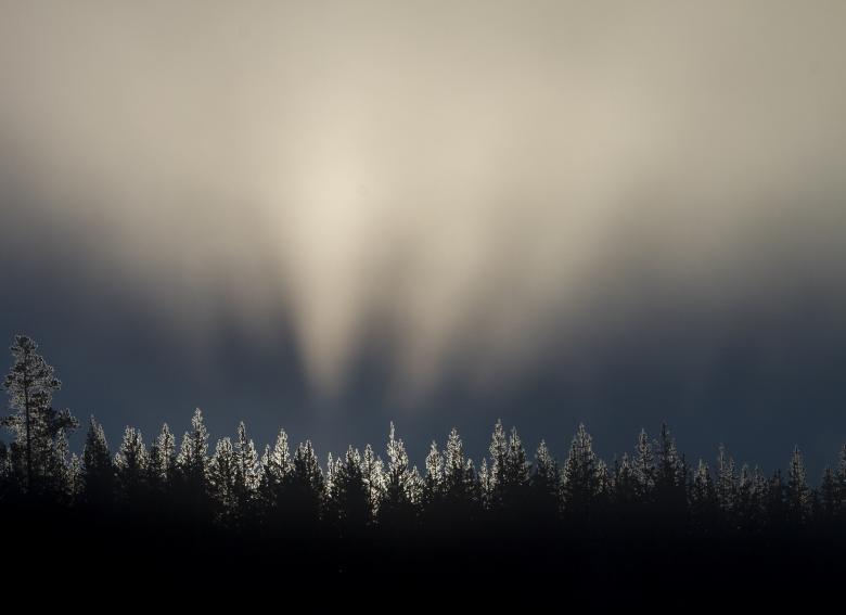 Free stock image of Sunrise created by Pixabay
