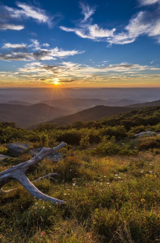 Free stock image of Sunset created by Pixabay