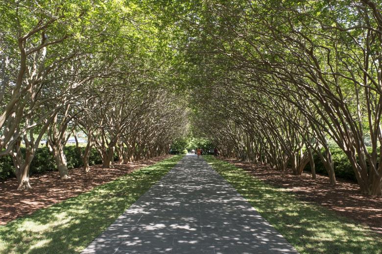 Free stock image of Tree Lined created by Pixabay