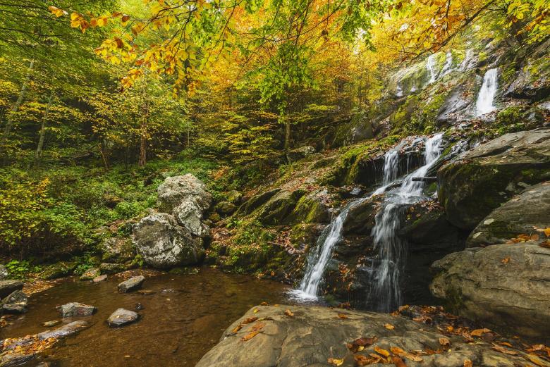 Free stock image of Wild Waterfall created by Pixabay