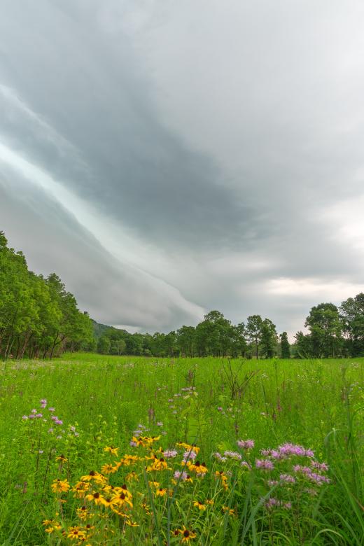 Free stock image of Brewing Summer Storm - HDR created by Nicolas Raymond