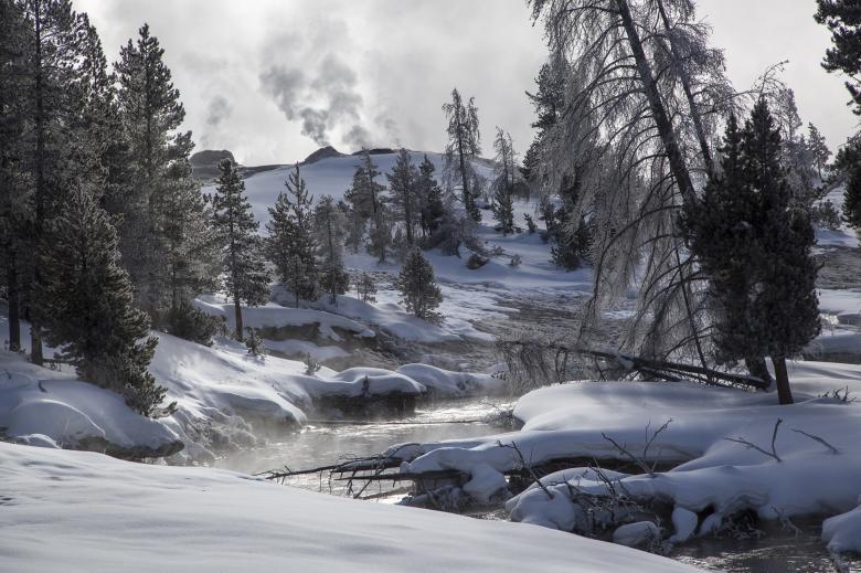 Free stock image of Frozen Landscape created by Pixabay