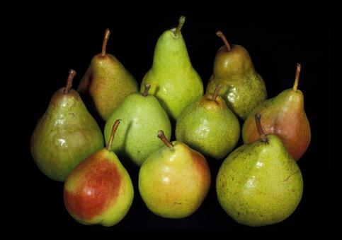 Free Stock Photo of Fresh Pears