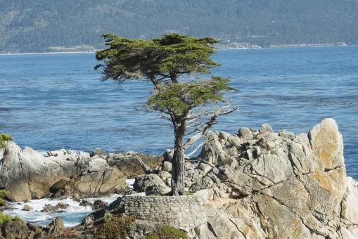 Free Stock Photo of Pebble Beach