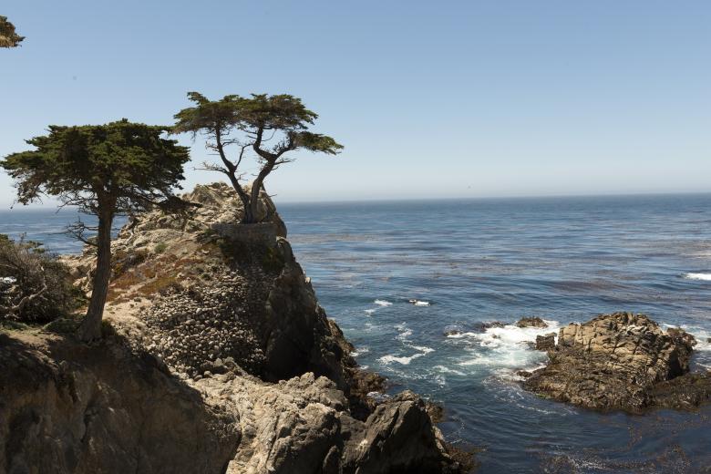 Free stock image of Pebble Beach created by Pixabay