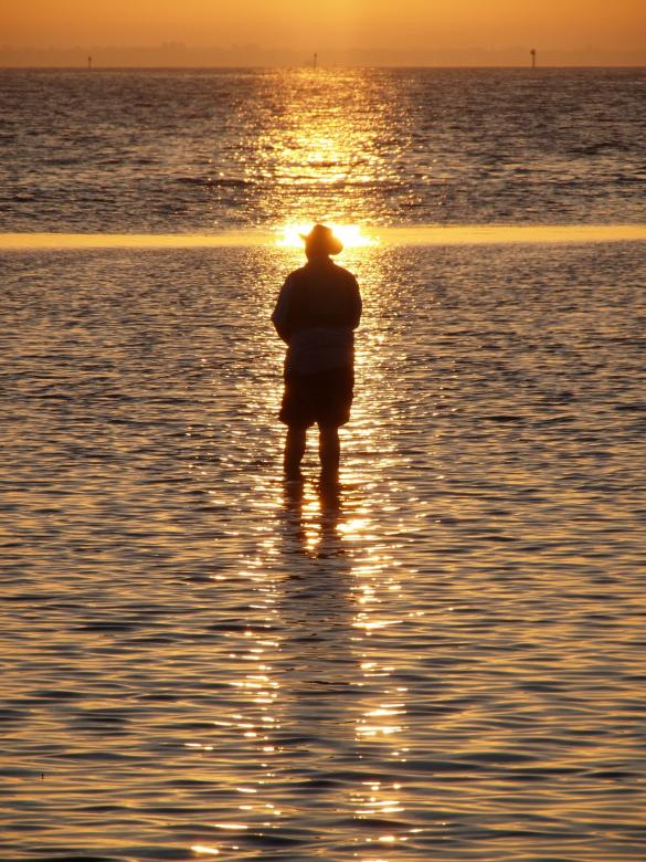 Free stock image of Man in the Ocean created by Pixabay