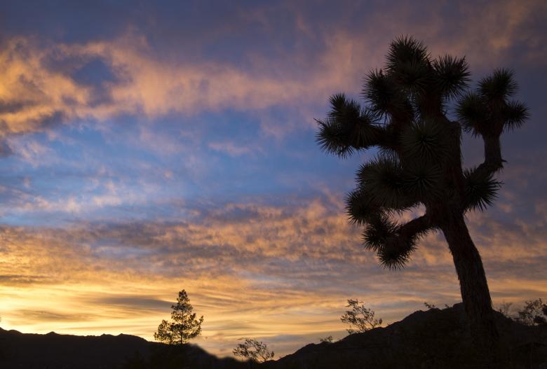Free stock image of Sunset created by Pixabay