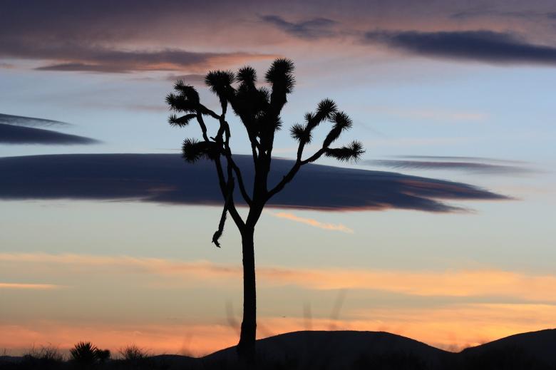 Free stock image of Sunset created by Pixabay