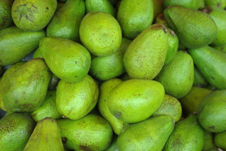Free stock image of Fresh Avocado created by Pixabay