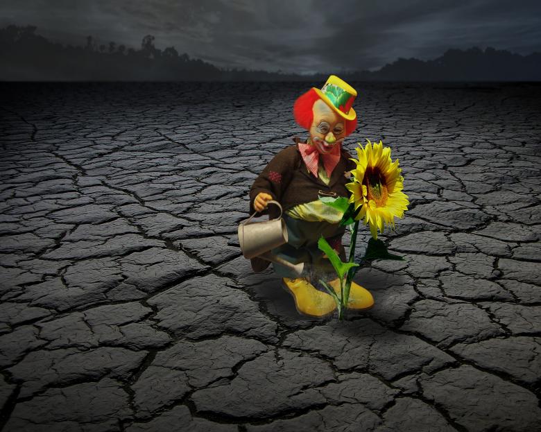 Free stock image of Clown Watering created by Pixabay