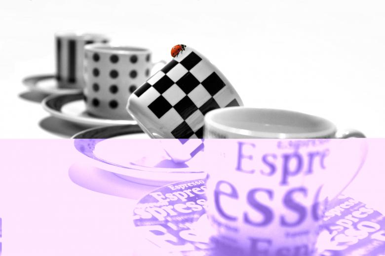 Free stock image of Ladybug on the Cup created by Pixabay