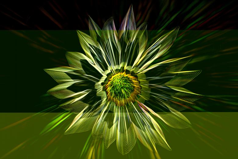 Free stock image of Beautiful Flower created by Pixabay