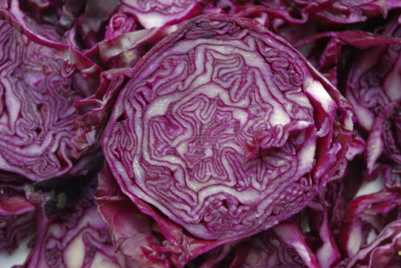 Free stock image of Red Cabbage created by Pixabay