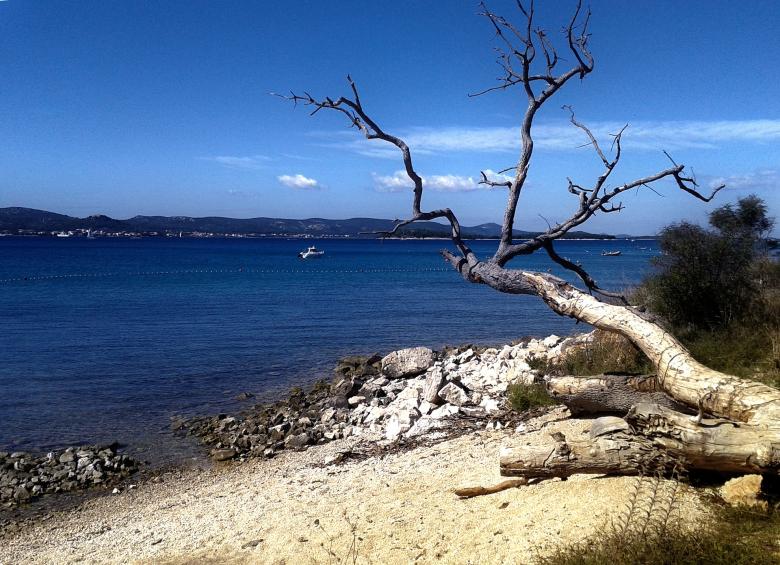 Free stock image of Seashore created by Pixabay